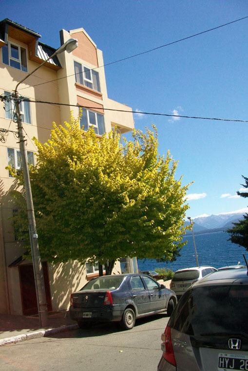 Apartmán Departamento Costanera San Carlos de Bariloche Exteriér fotografie